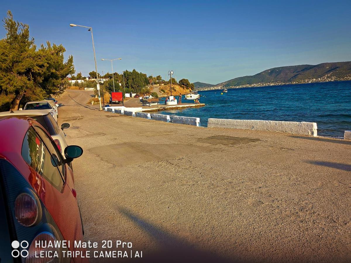 Agios Georgios Ξένιος Ζευς Ηλιακτής. Χώρος Χαλάρωσης & Ξεκούρασης公寓 外观 照片